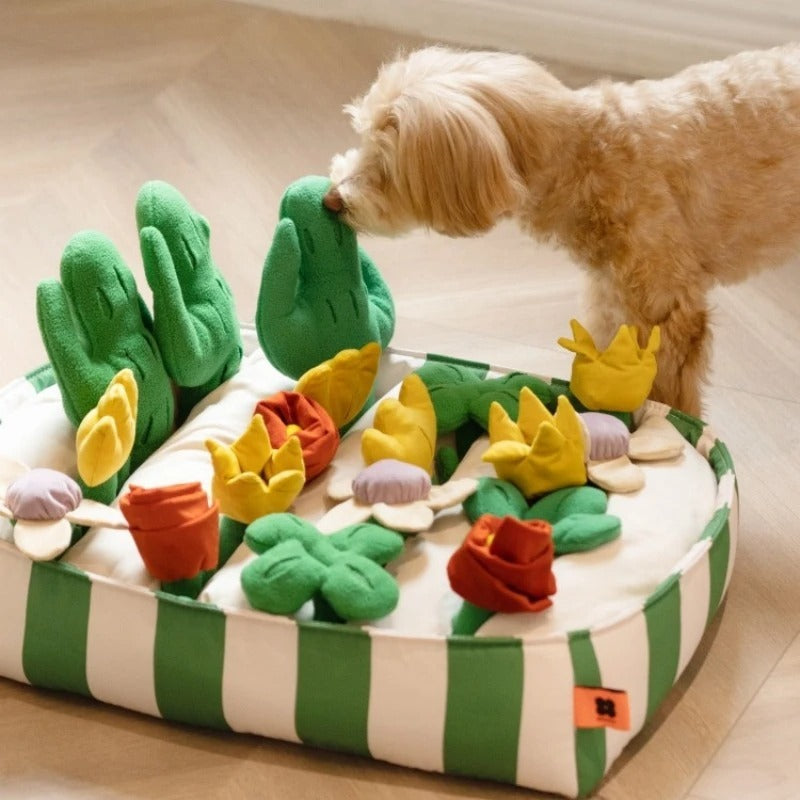 Educational Toys for Dogs – Interactive Food Dispenser
