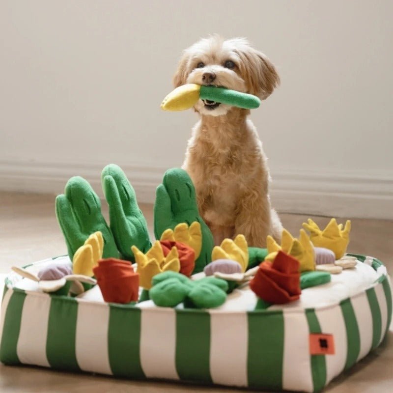 Educational Toys for Dogs – Interactive Food Dispenser