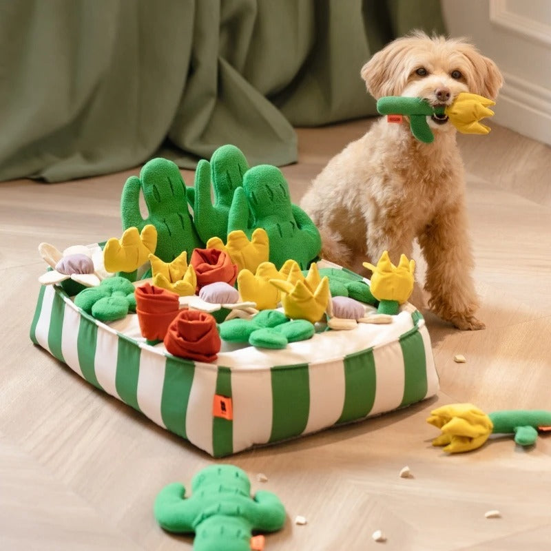 Educational Toys for Dogs – Interactive Food Dispenser