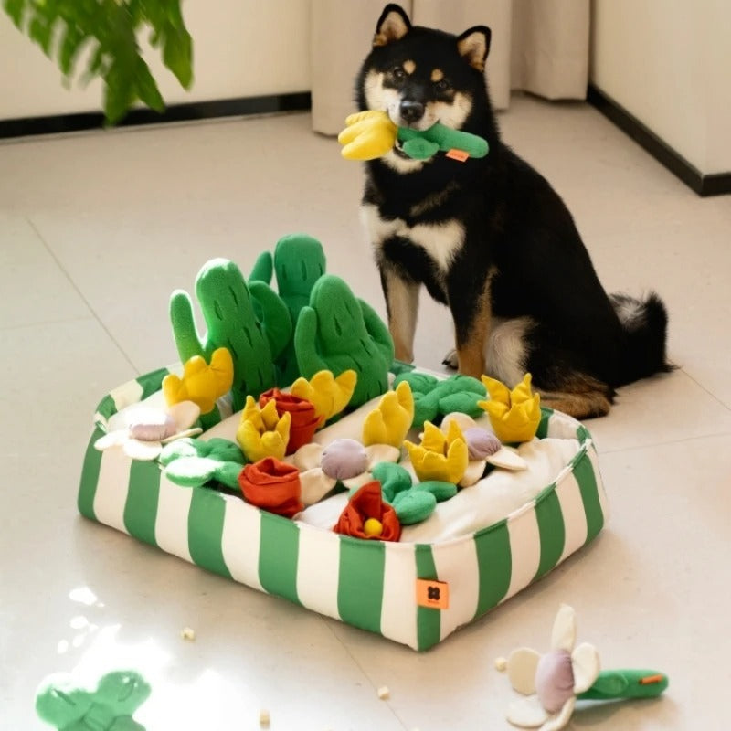 Educational Toys for Dogs – Interactive Food Dispenser