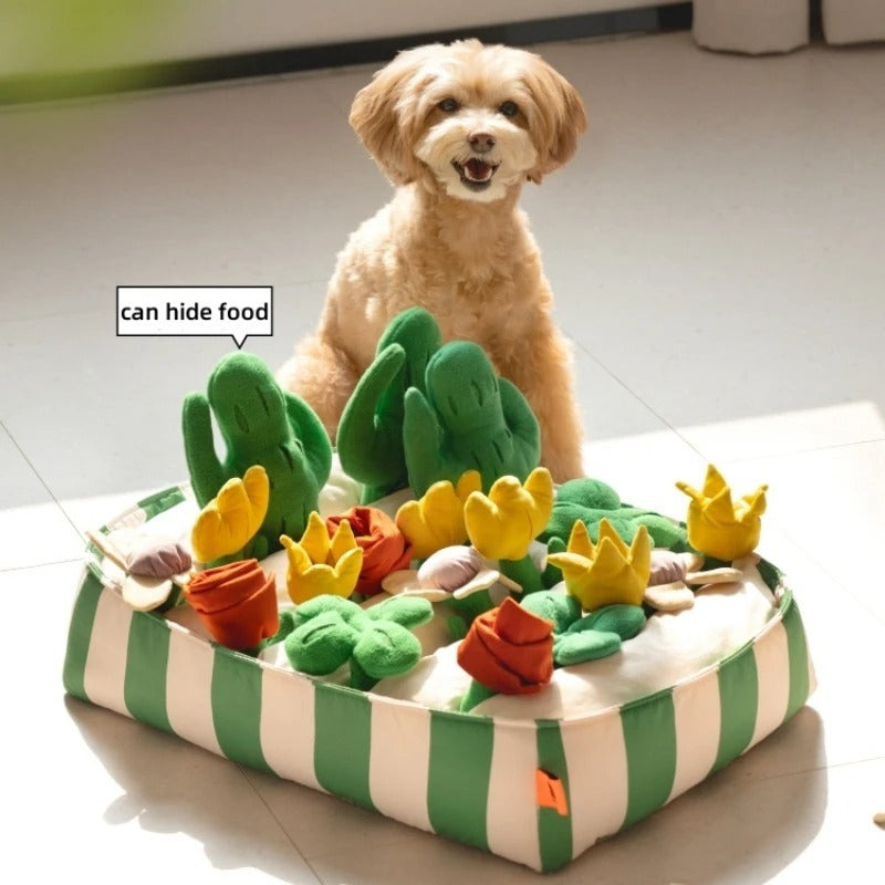 Educational Toys for Dogs – Interactive Food Dispenser